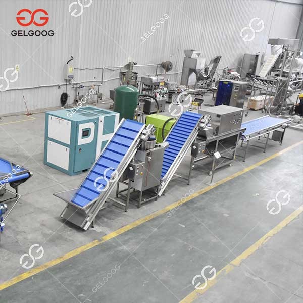 Garlic Chips Frying Line factory