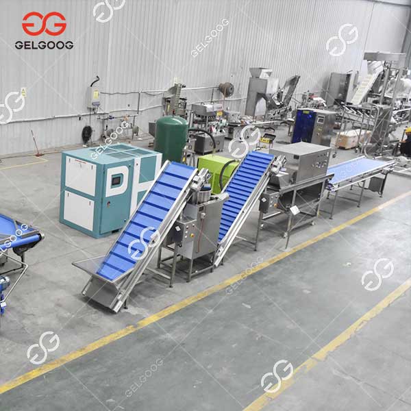 garlic frying line garlic frying line